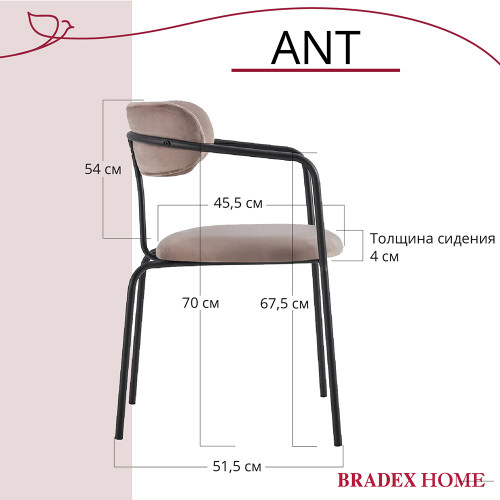Стул Ant латте от Bradexhome