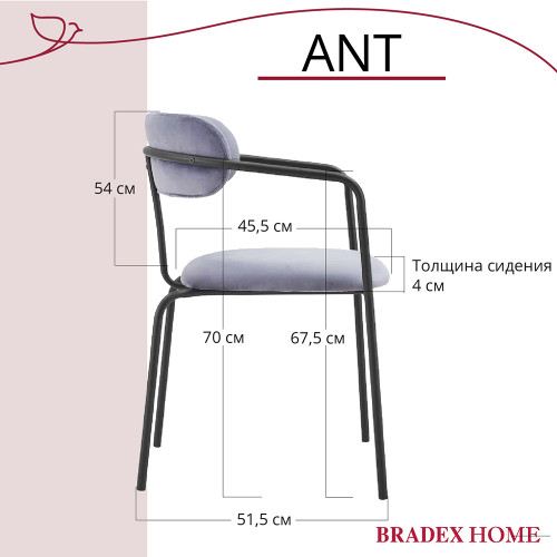 Стул Ant серый от Bradexhome