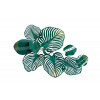 37SM-1156 Настенный декор Листья тропические 101,6*73,7*12,7см