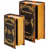 Шкатулки в виде книг, набор 2 предмета 19х8х27, 14х6х20см 