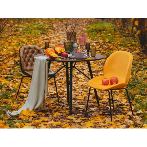 Комплект стульев Beetle 2 шт. от OGOGOHOME