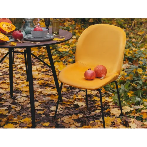 Комплект стульев Beetle 2 шт. от OGOGOHOME
