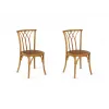 Комплект стульев Saloon 2 шт. от OGOGOHOME