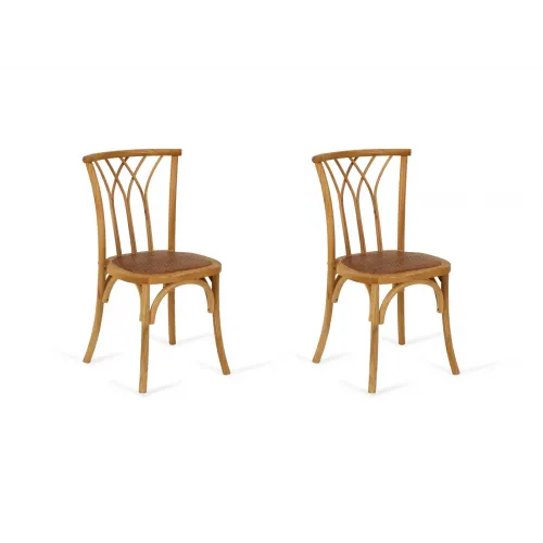Комплект стульев Saloon 2 шт. от OGOGOHOME